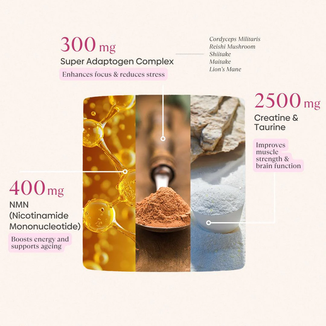 Daily Longevity Blend - Image 4