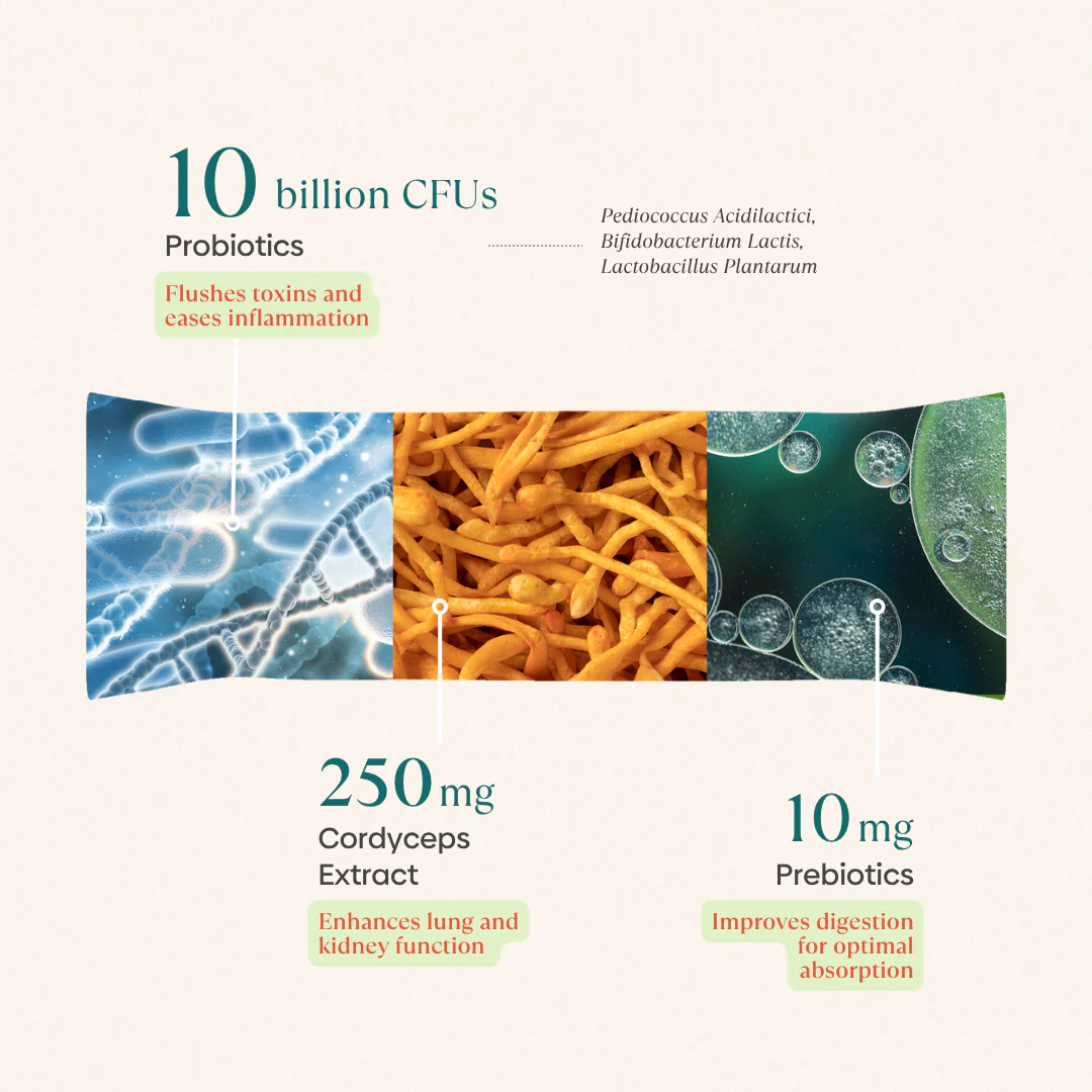 Immunity Pre+Probiotic Melts - Image 4