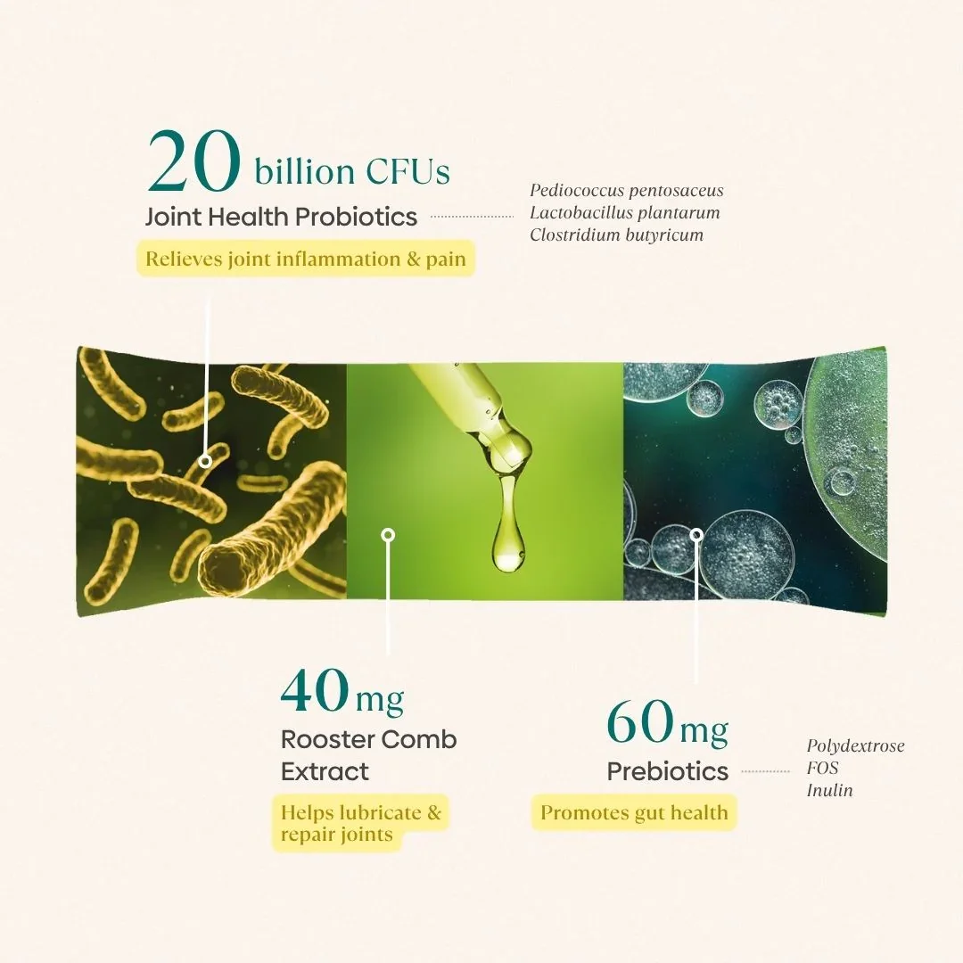 Joint Pre+Probiotic Melts - Image 4