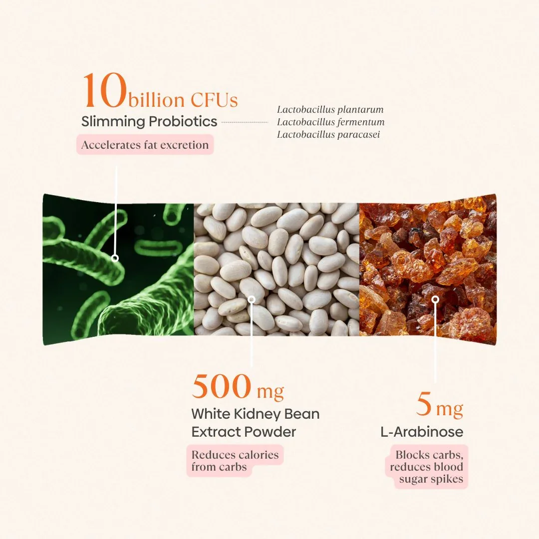 Lean Burn Pre+Probiotic Melts - Image 4