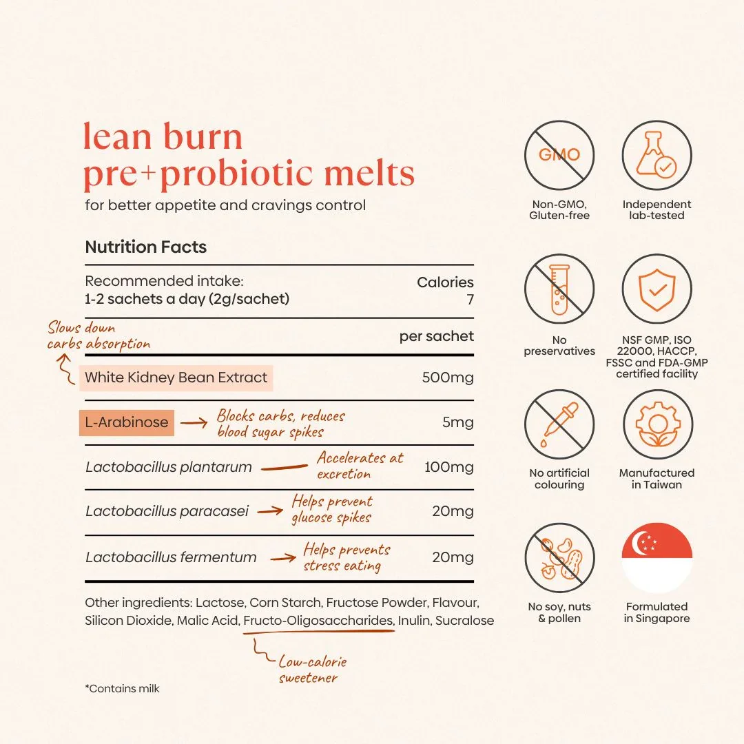 Lean Burn Pre+Probiotic Melts - Image 7